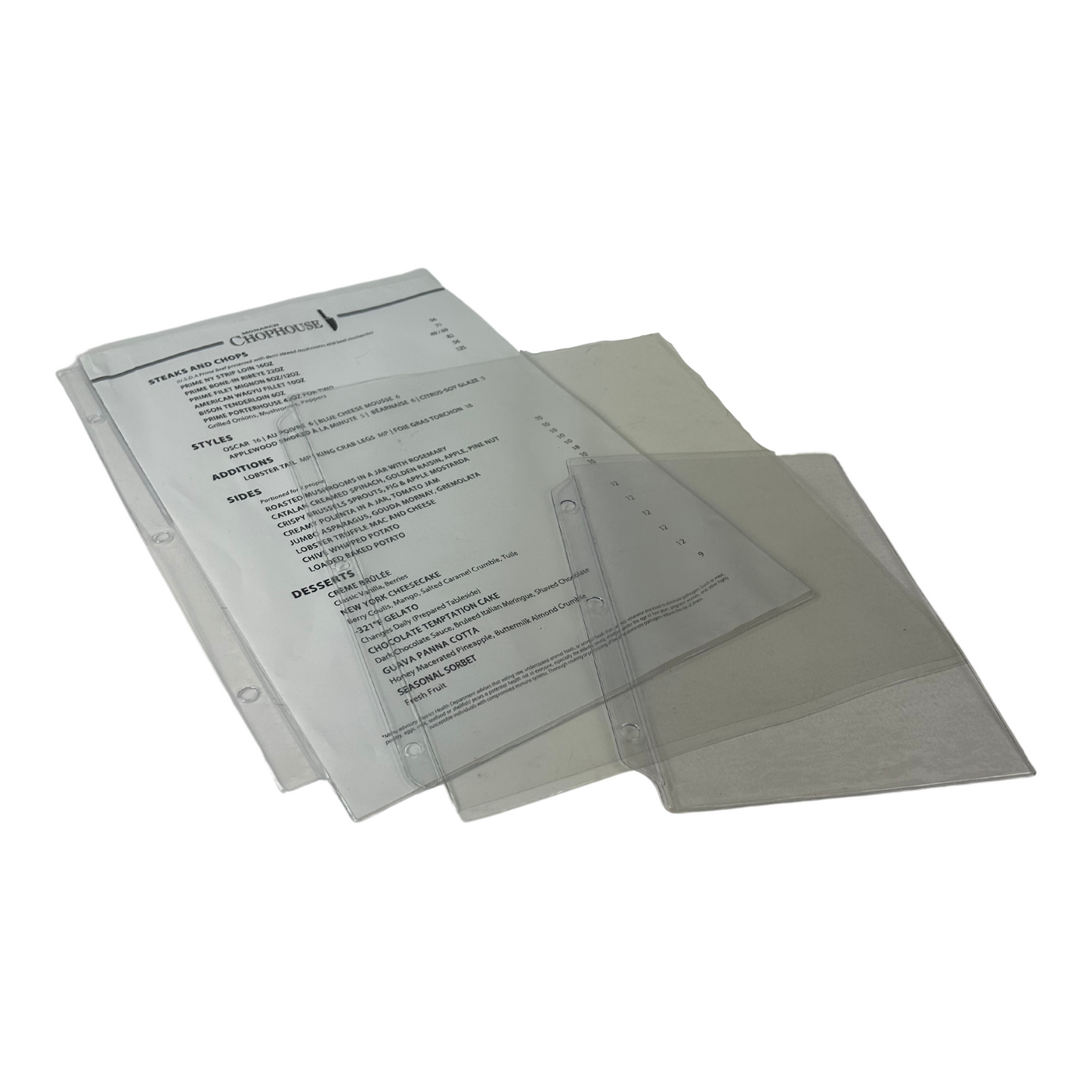 Clear Vinyl Page Protectors